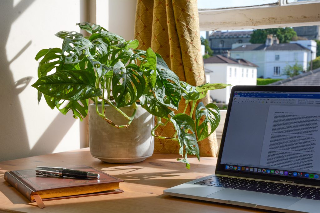 macbook pro beside green plant on table