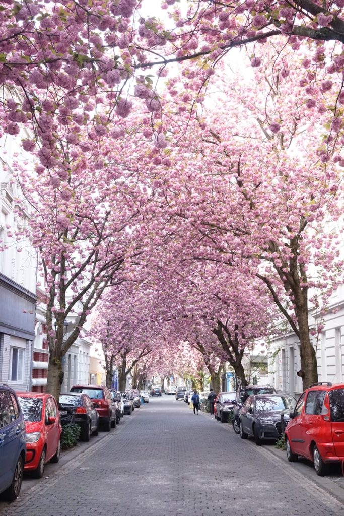 Bonn, Germany