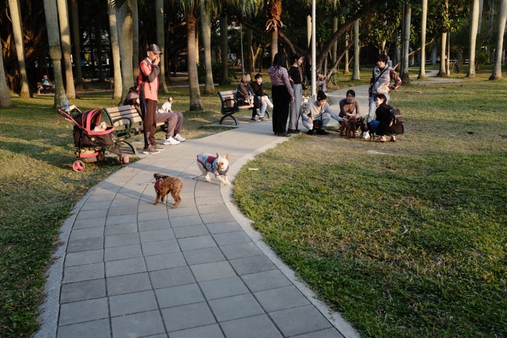 people sitting on green grass field during daytime