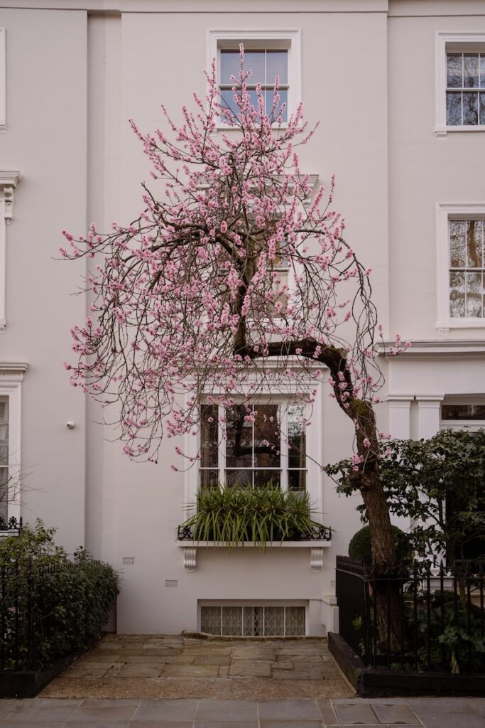 London's richest areas: Kensington