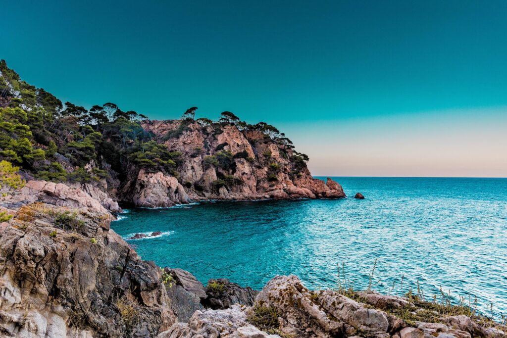 isla cubierta de árboles verdes