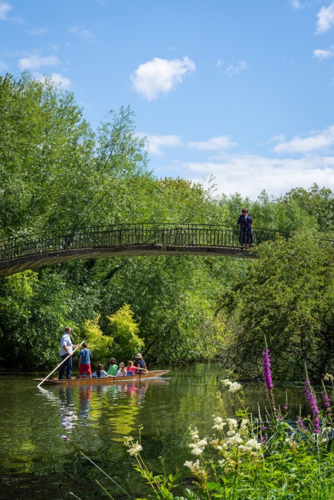 Lush green parks and inviting spaces in an Oxford neighborhood