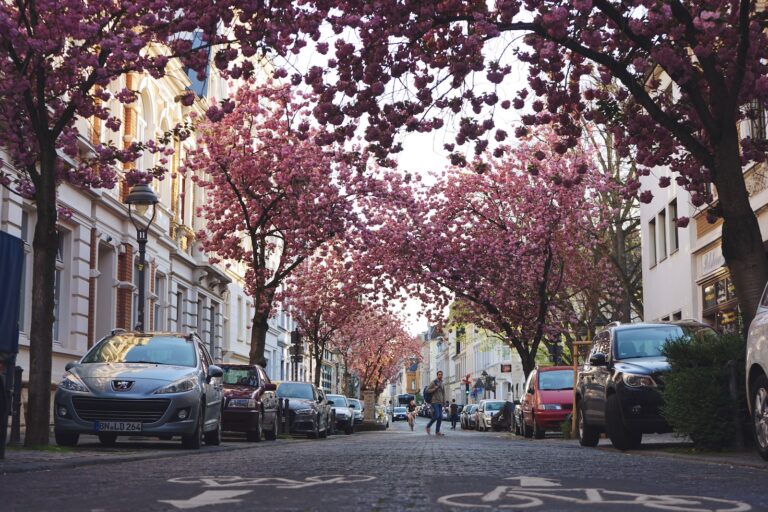 Best Neighborhoods in Bonn, Germany