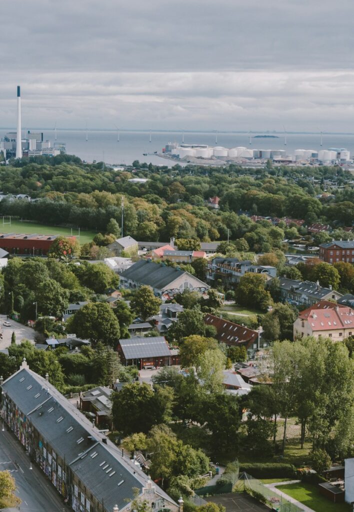 View of a family-friendly residential area in Copenhagen, showcasing the serene streets and homes ideal for those relocating with children.